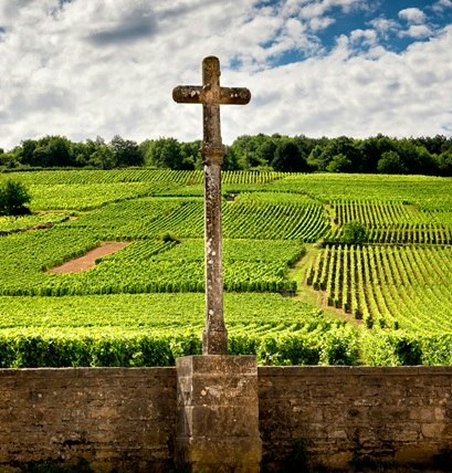 vosne-romanée