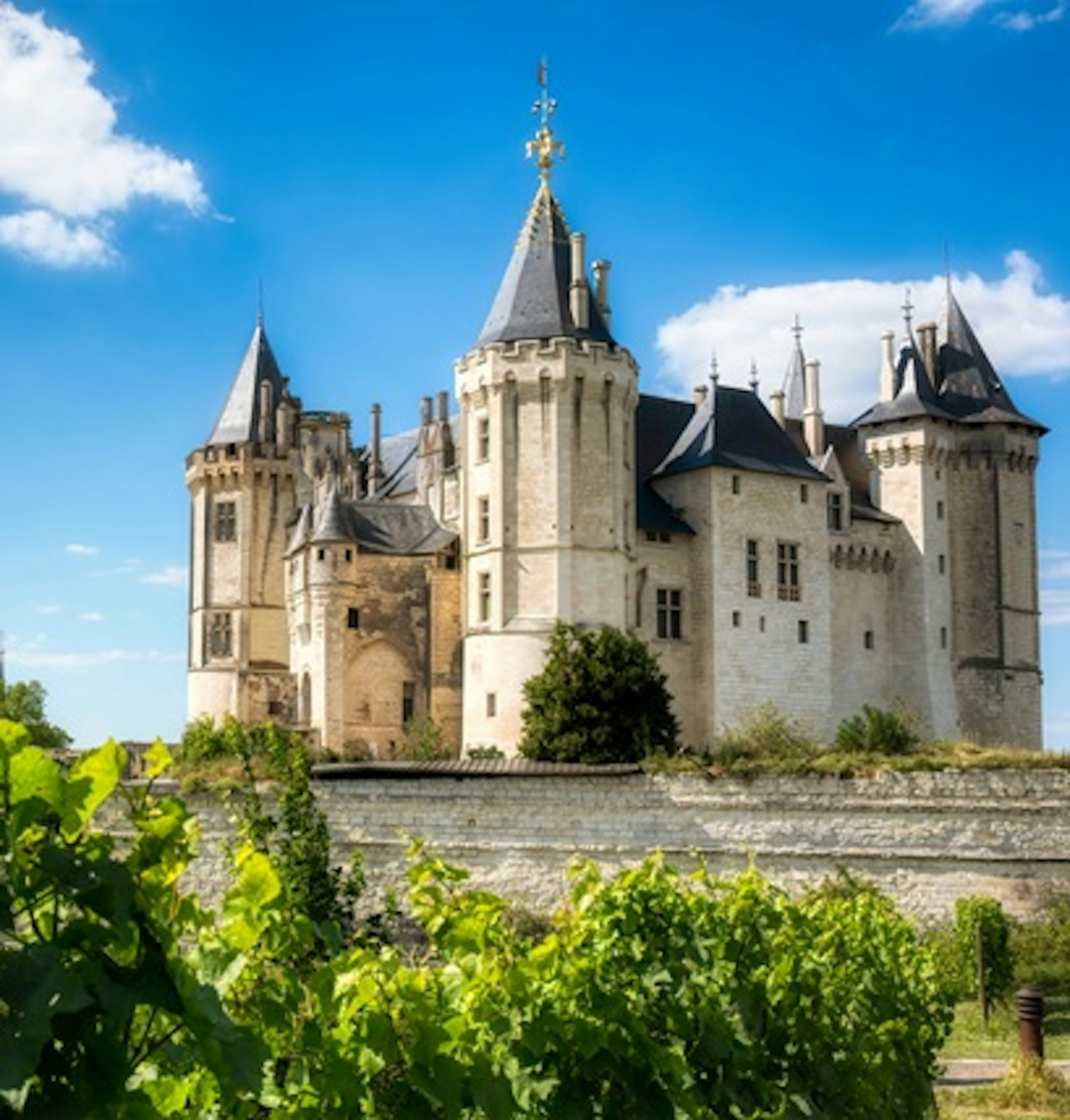 vini saumur champigny