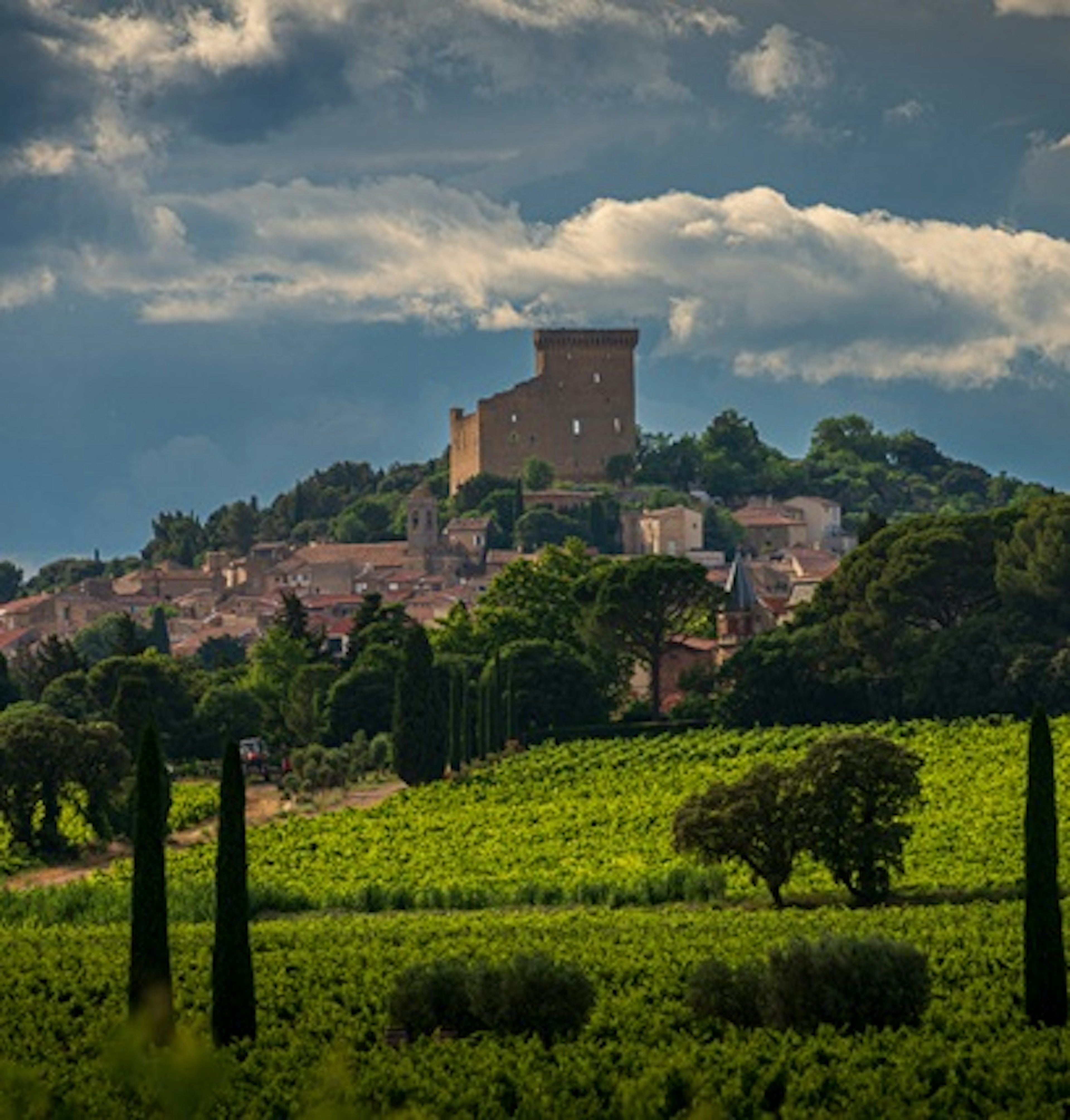 chateauneuf-du-pape