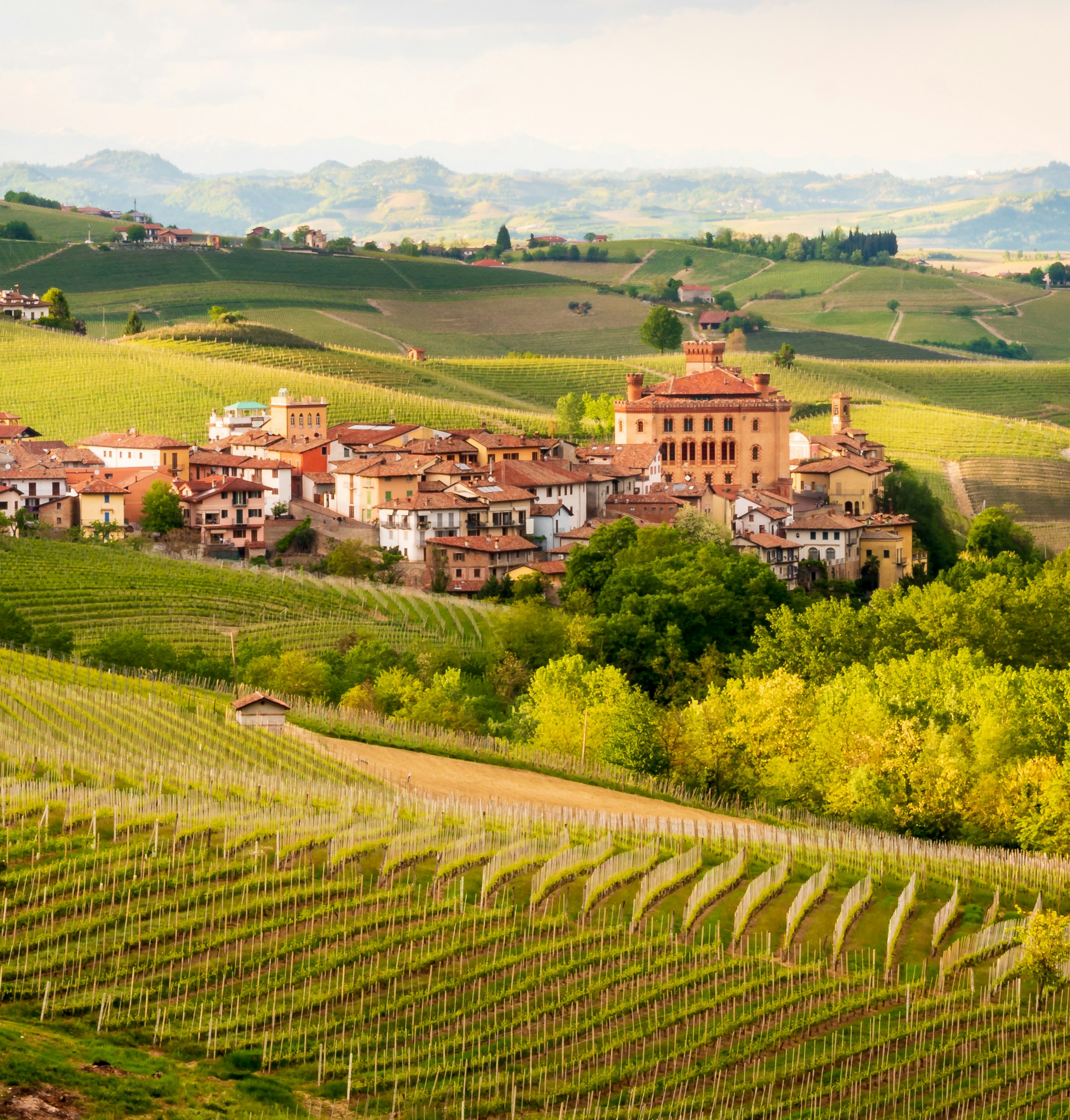 barolo