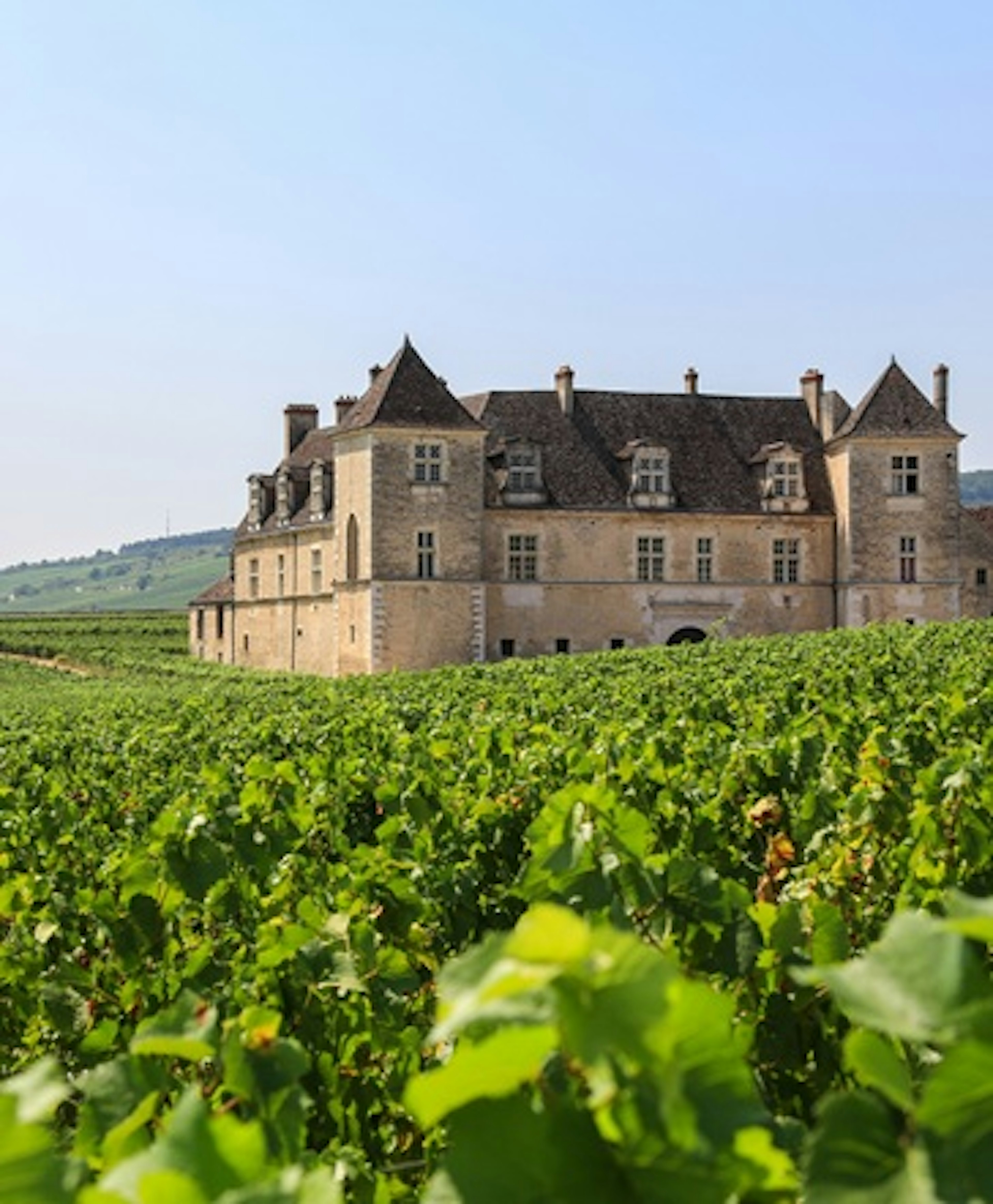 aoc clos de vougeot