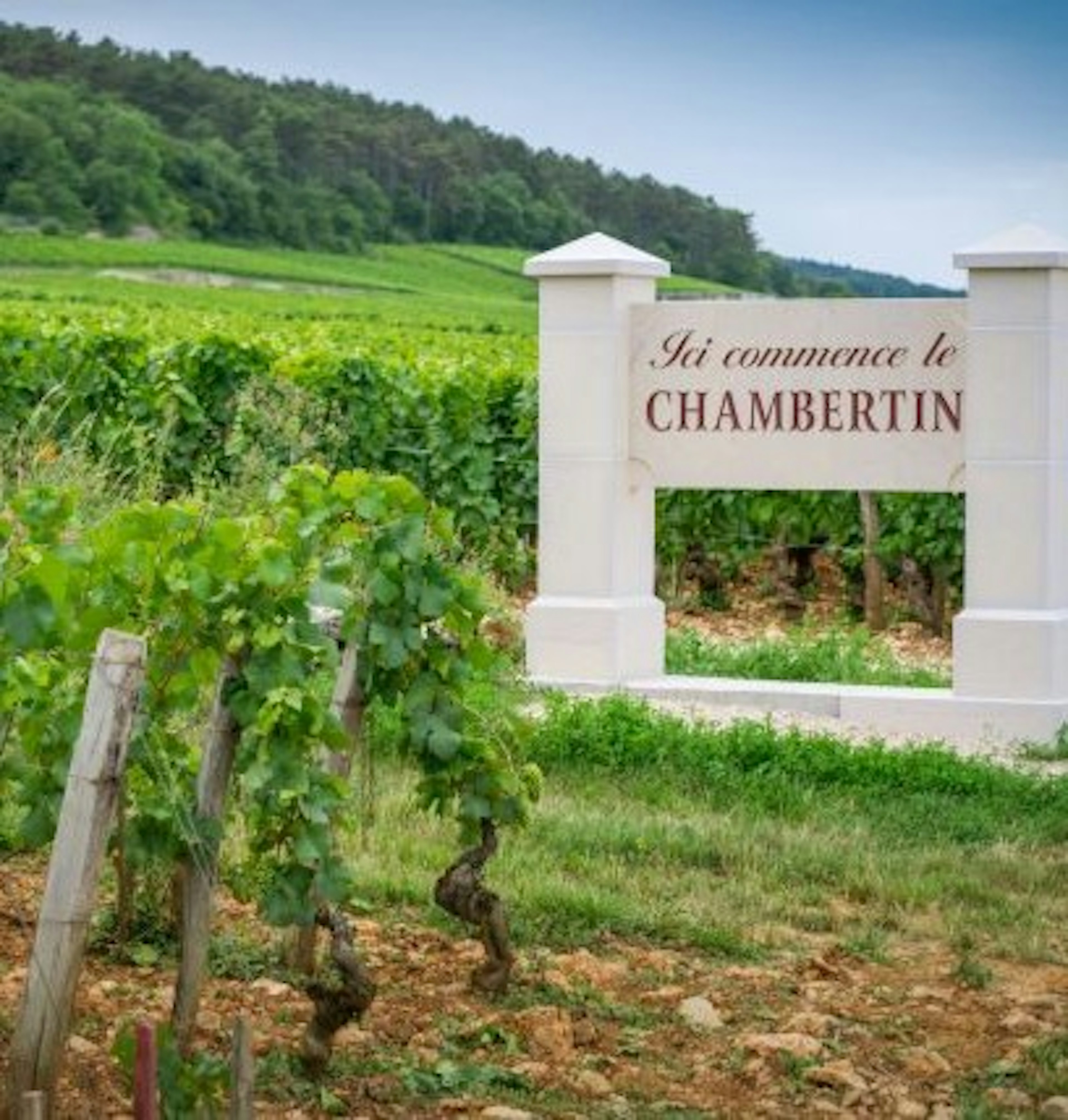 chambertin