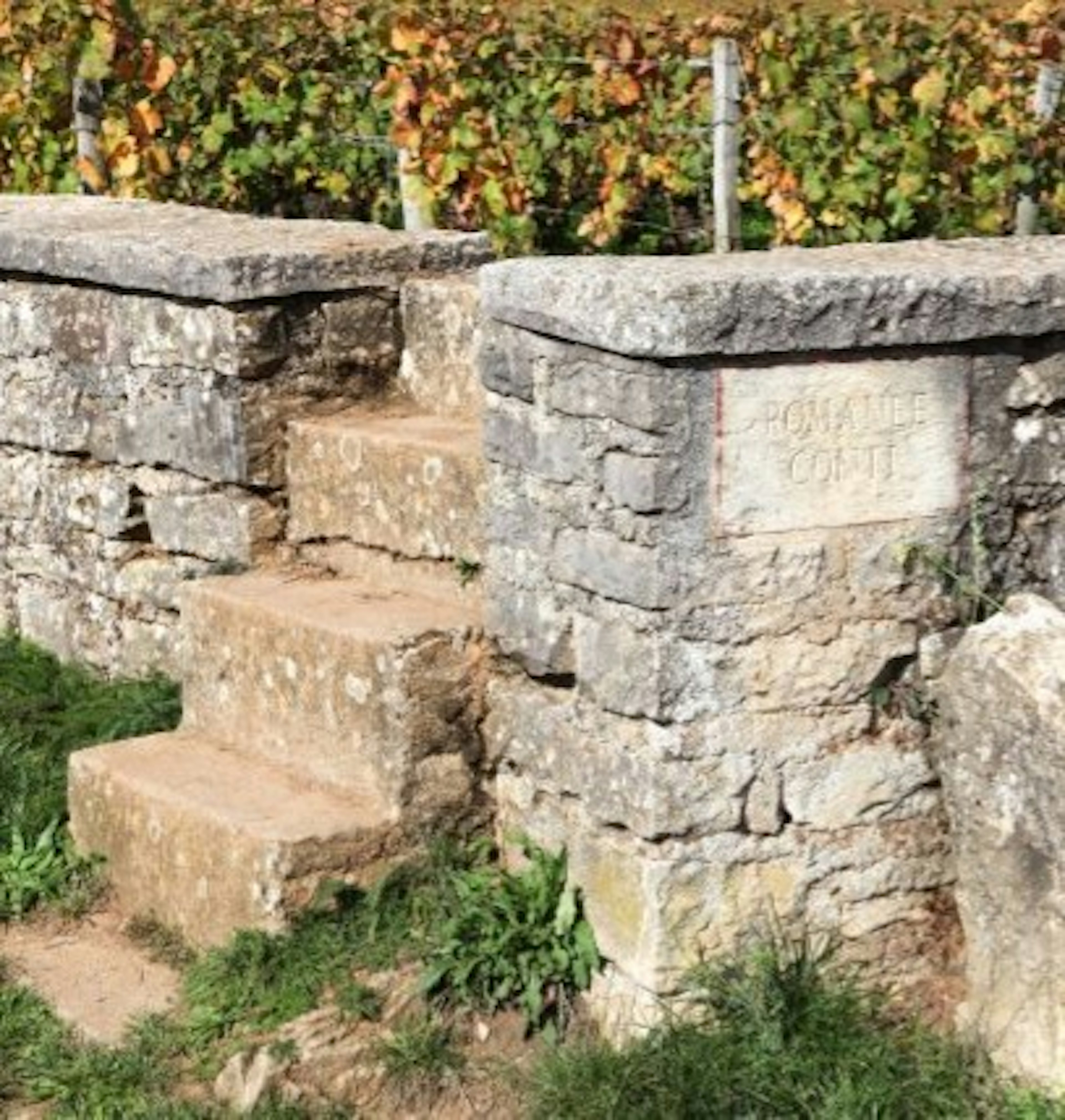 romanée conti