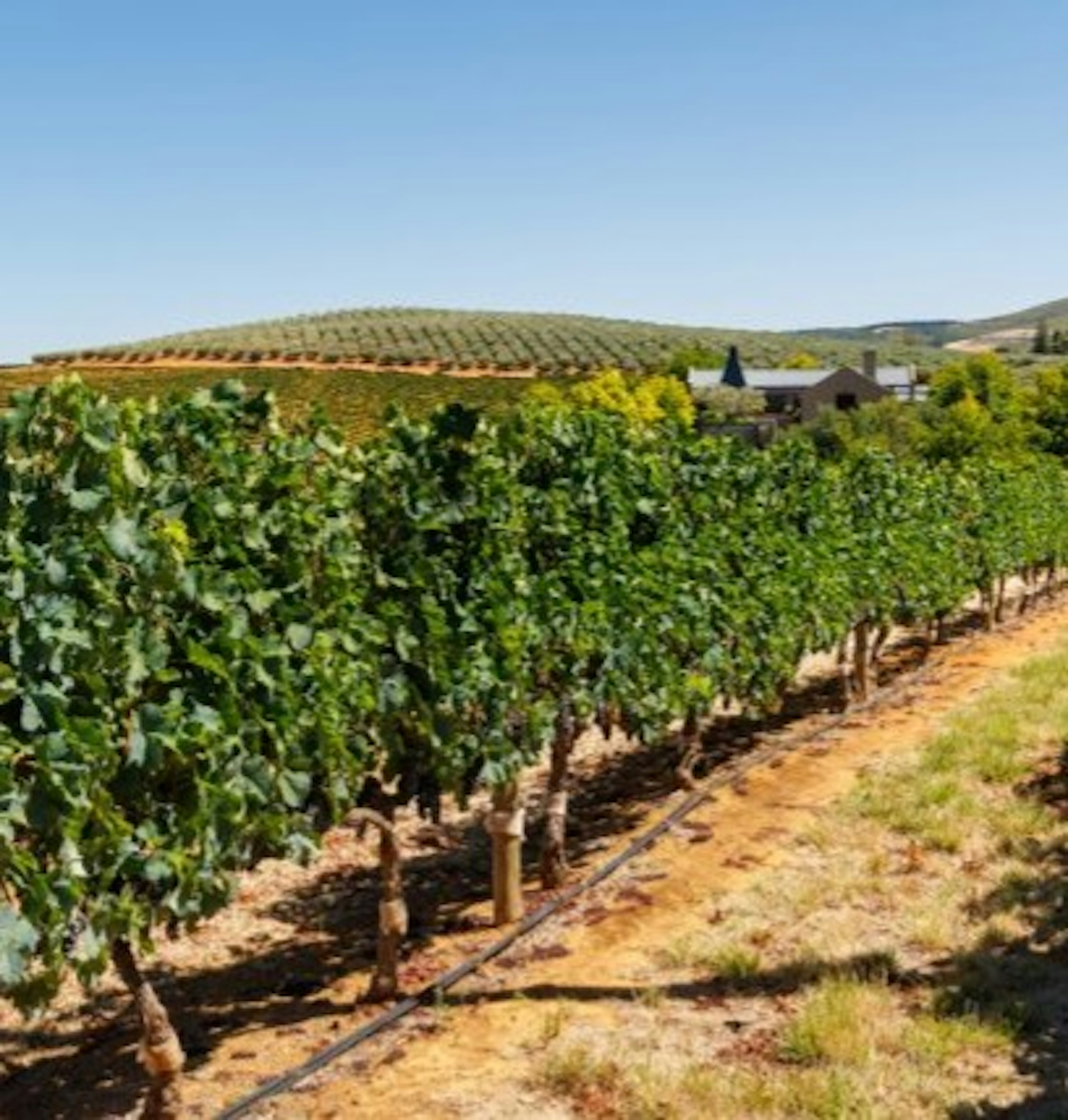fronsac