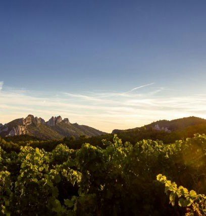 vaucluse