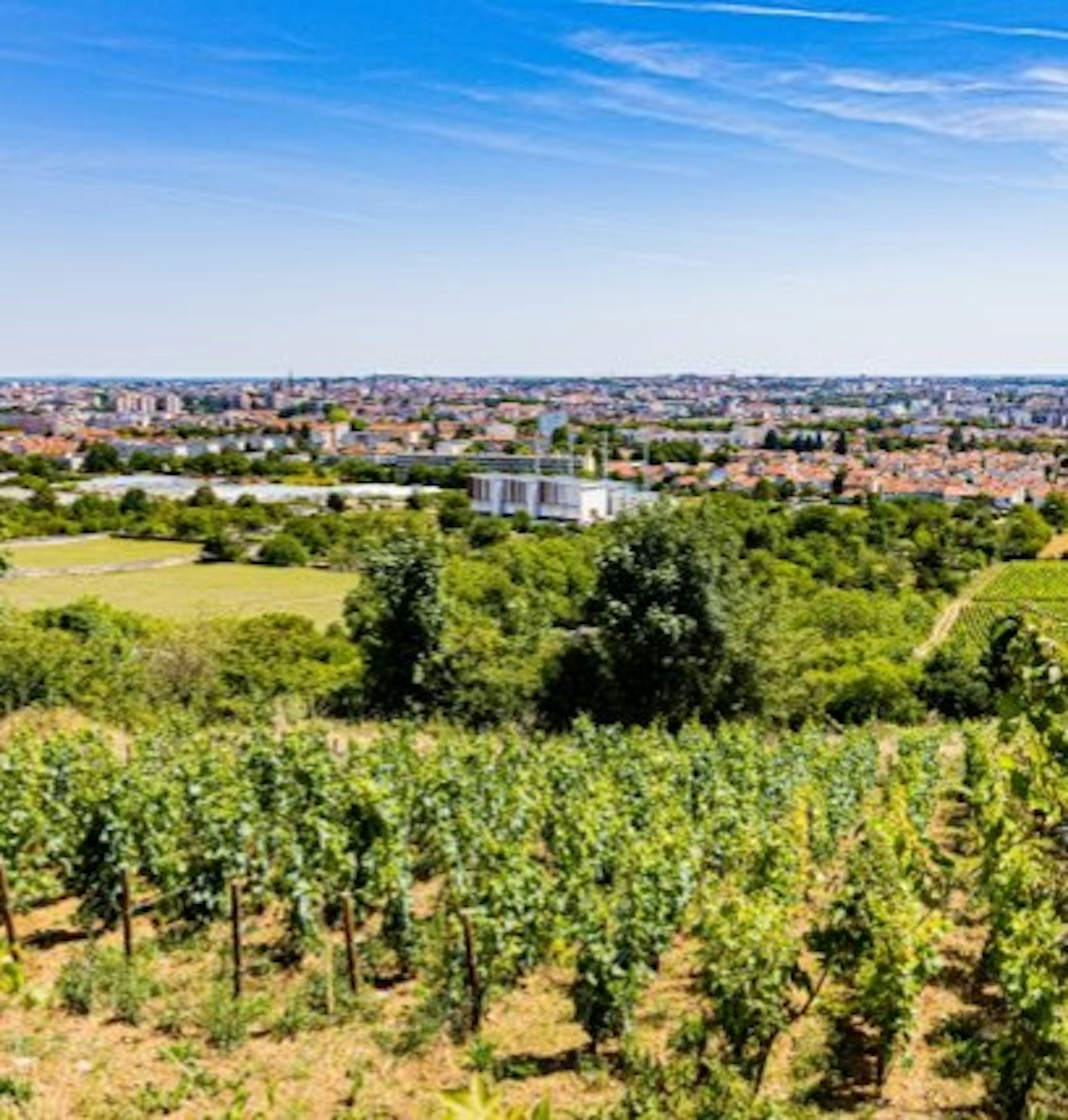 bourgogne montrecul