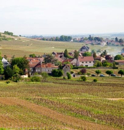 musigny
