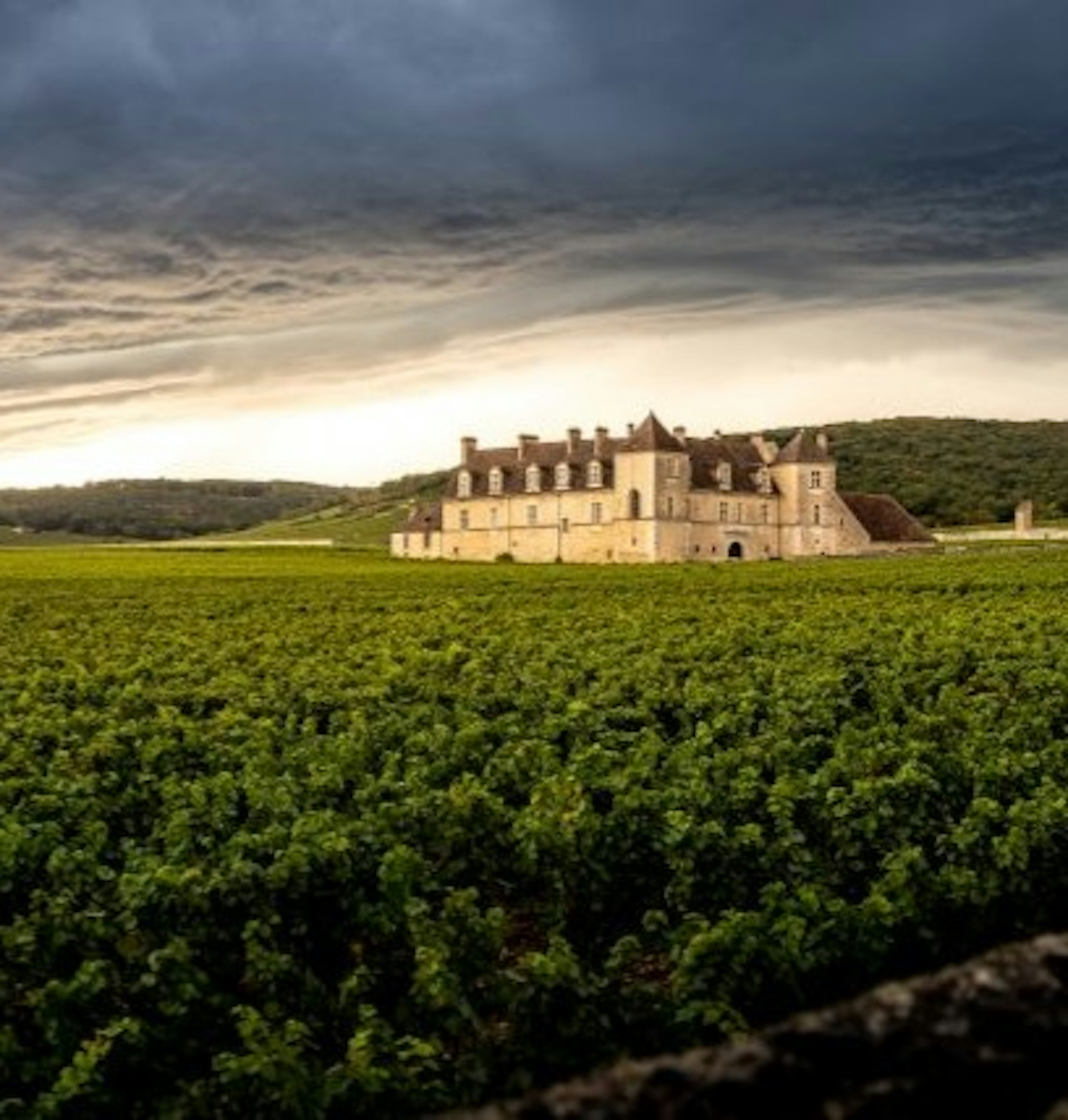 vougeot